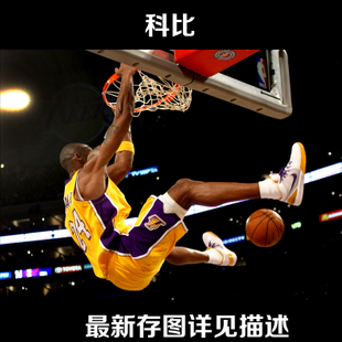 卫斯理学院社会学文凭证书